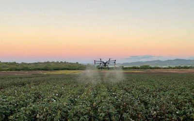 La agricultura será sostenible o no será